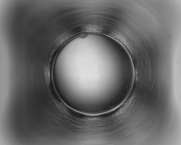 X0000094320349200711021356