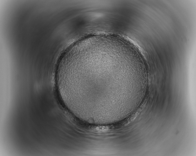 X0000094320353200711021356