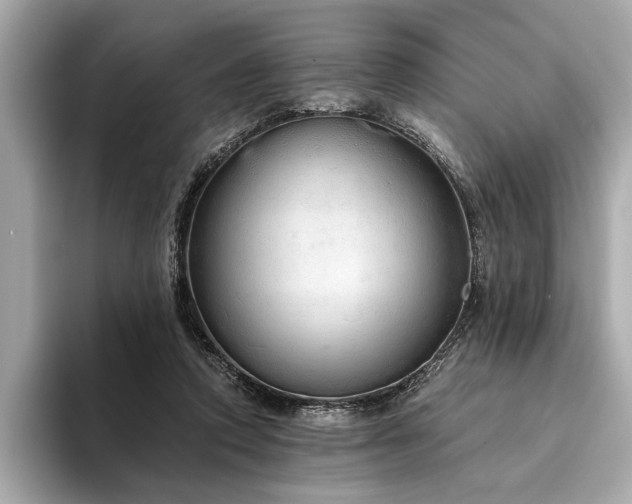 X0000094320354200711021356