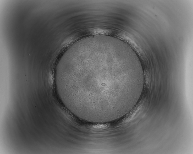 X0000094320357200711021356