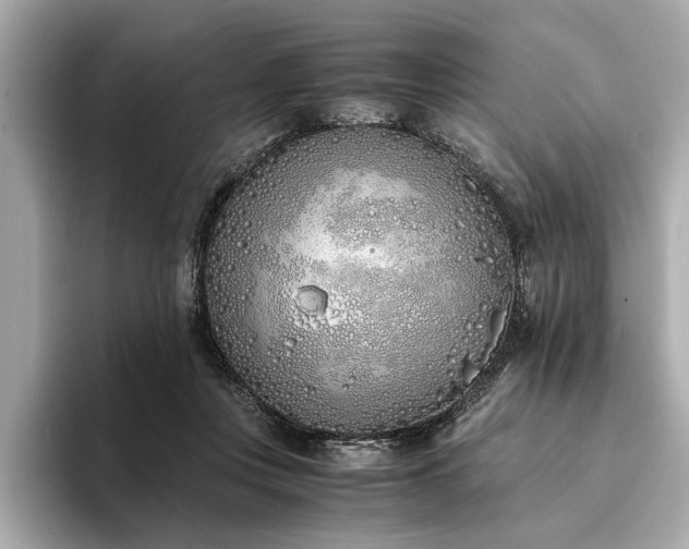 X0000094320359200711021356