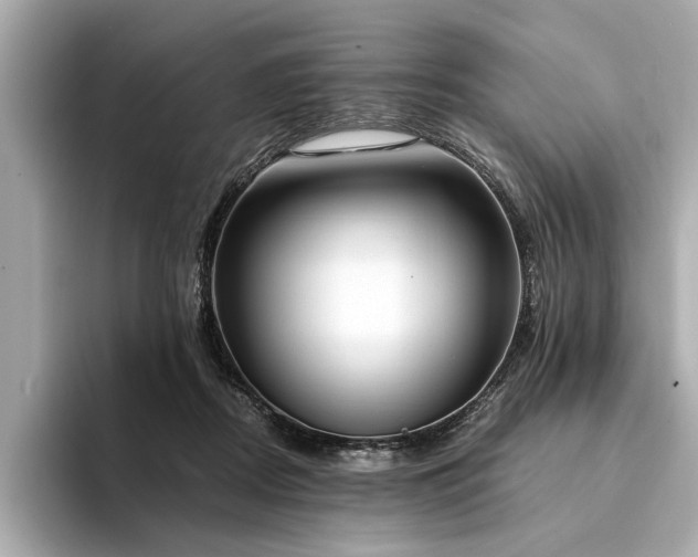 X0000094320362200711021356