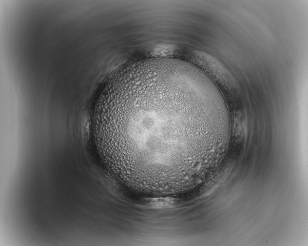 X0000094320363200711021356
