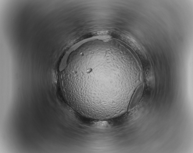 X0000094320374200711021356