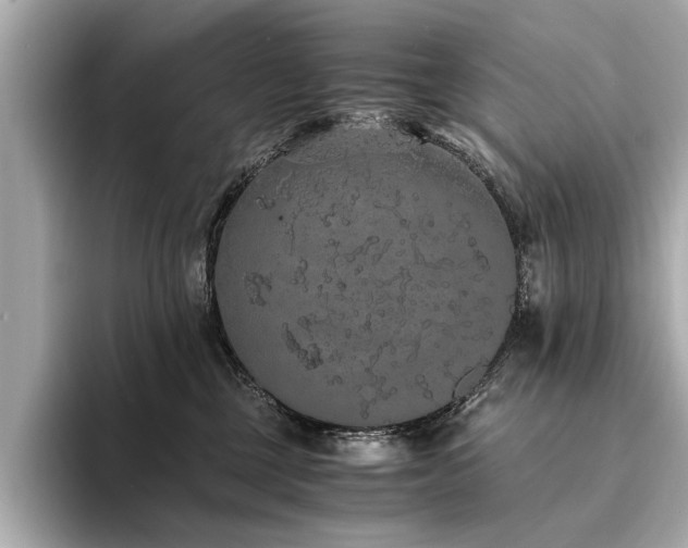 X0000094320377200711021356