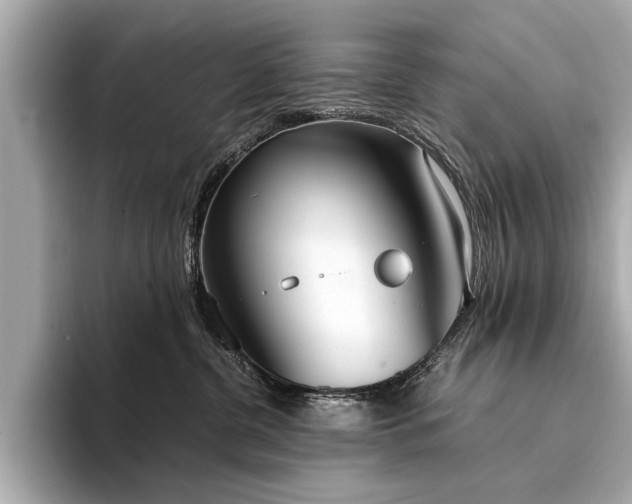 X0000094320380200711021356