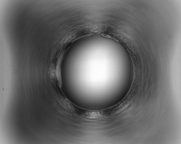X0000094320384200711021356