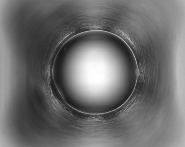 X0000094320386200711021355