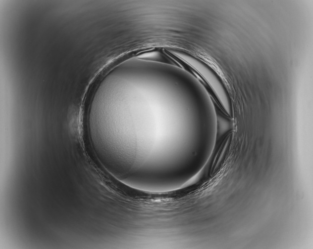 X0000094320387200711021355