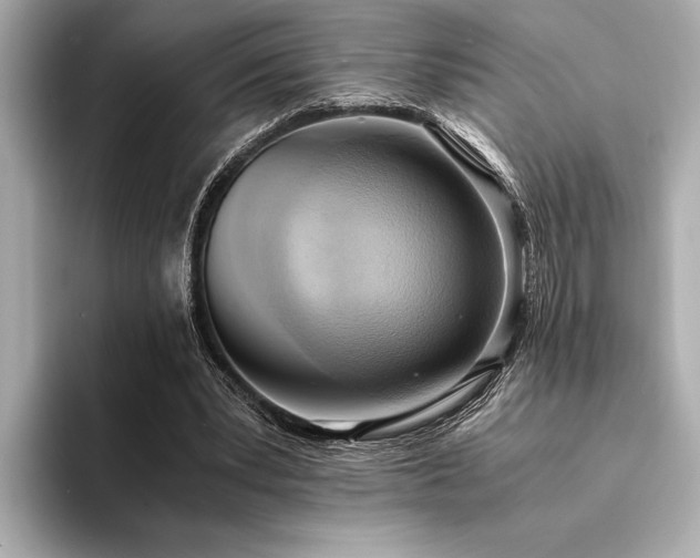 X0000094320391200711021355
