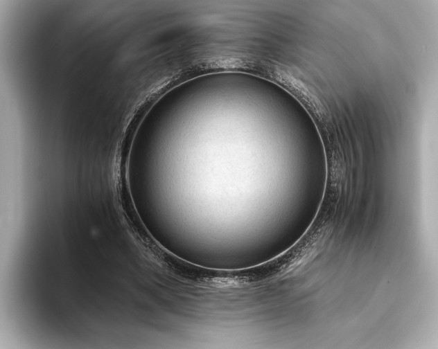 X0000094320394200711021355