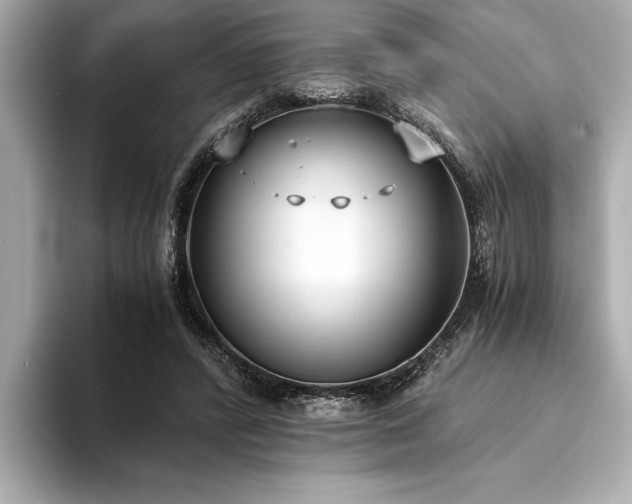 X0000094320400200711021355