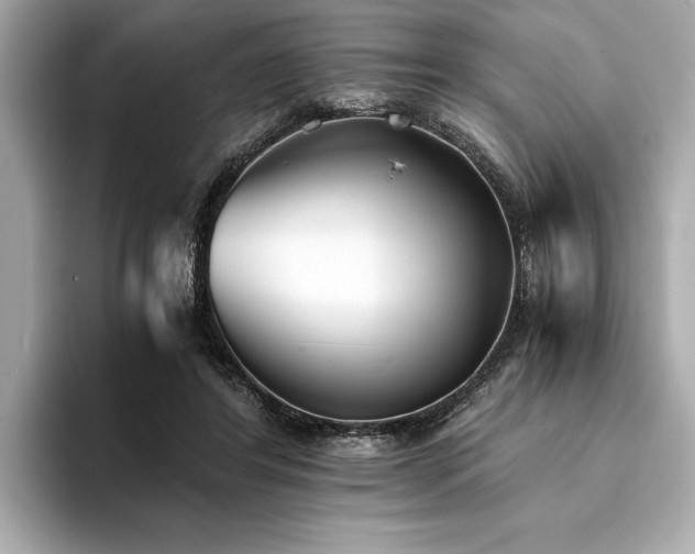 X0000094320404200711021355