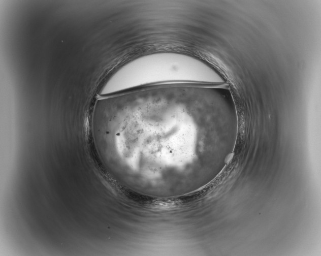 X0000094320405200711021355