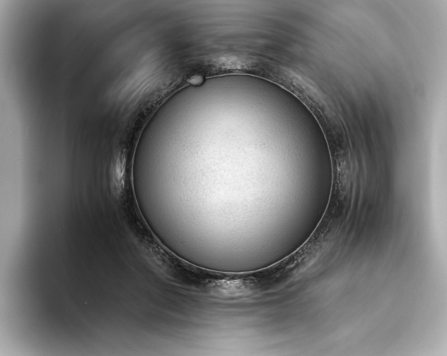 X0000094320406200711021355