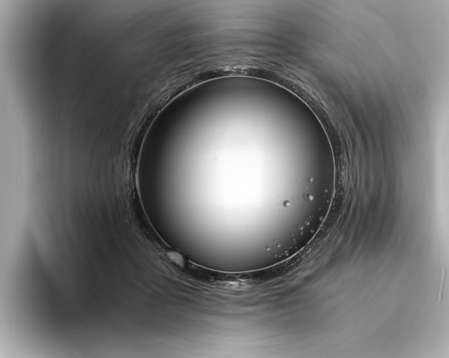 X0000094320411200711021355