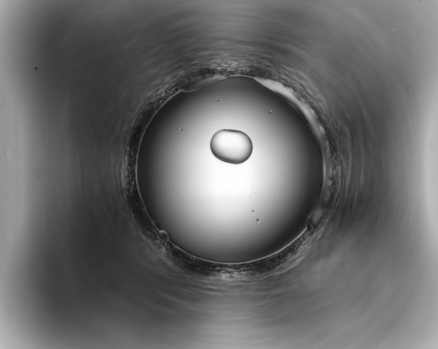 X0000094320416200711021355