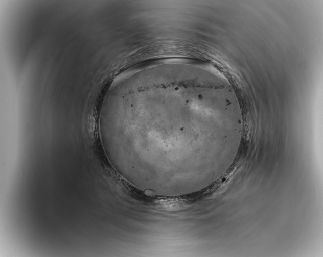 X0000094320417200711021355