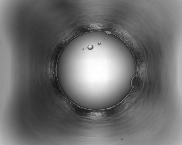 X0000094320418200711021355