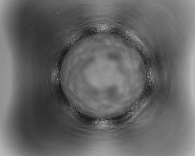 X0000094320419200711021355