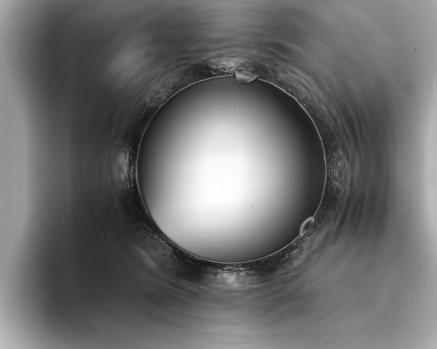X0000094320420200711021355
