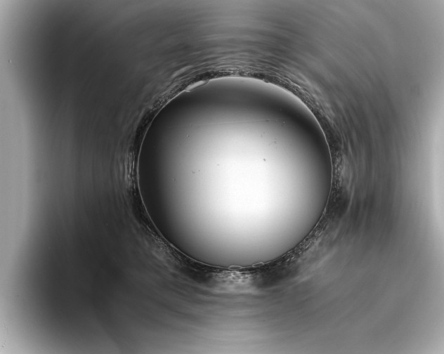 X0000094320421200711021355