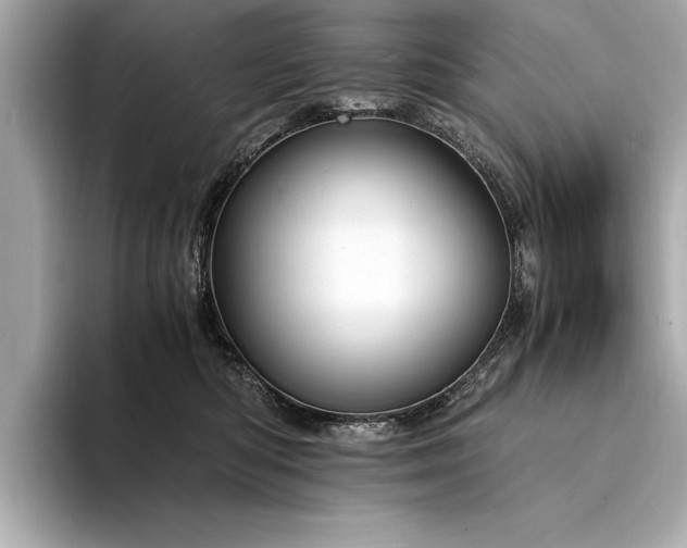 X0000094320422200711021355