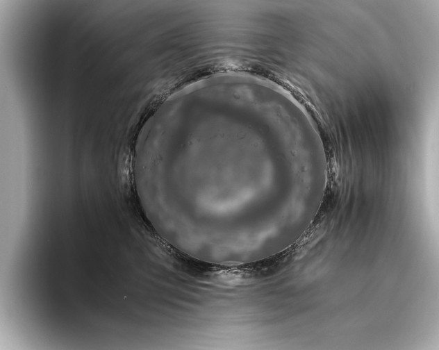 X0000094320423200711021355