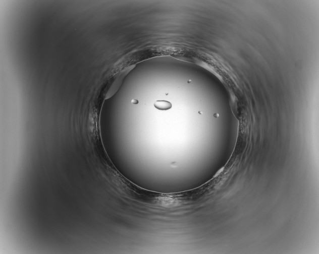 X0000094320425200711021355