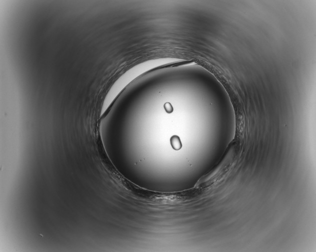 X0000094320428200711021355