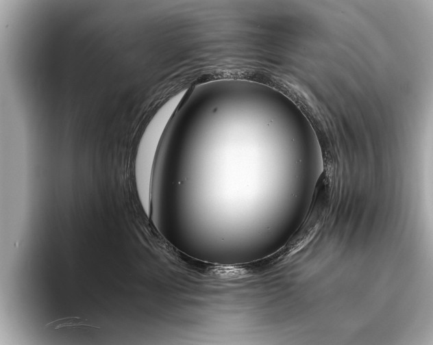 X0000094320429200711021355