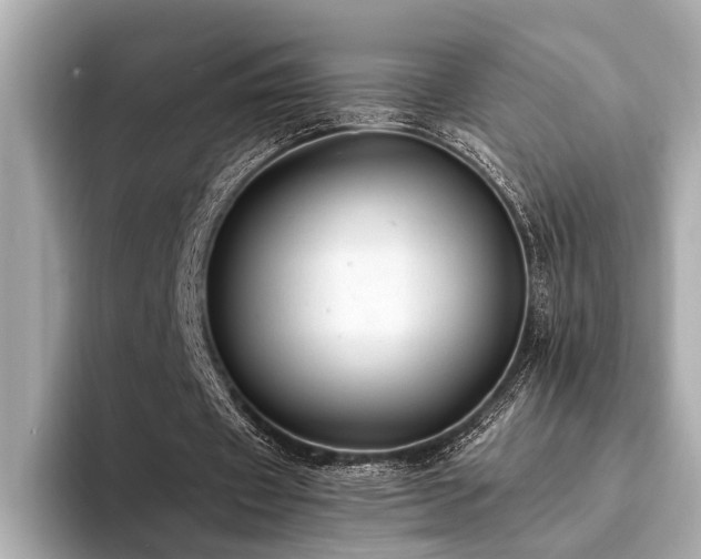 X0000094320433200711021354