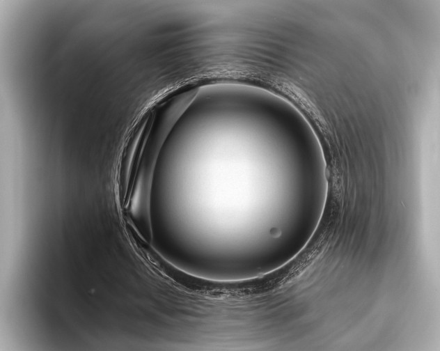 X0000094320434200711021354