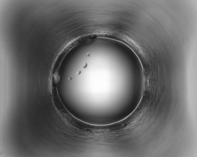 X0000094320436200711021354