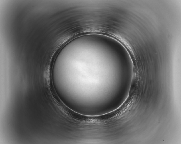X0000094320437200711021354
