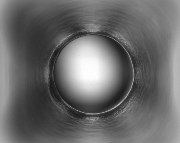X0000094320440200711021354