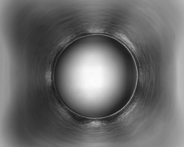 X0000094320441200711021354