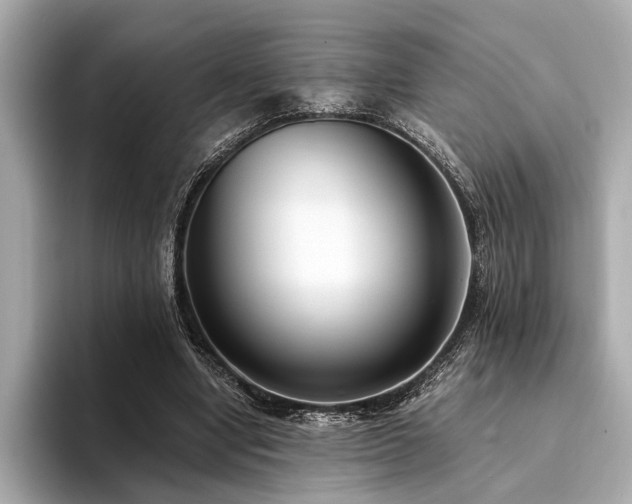 X0000094320442200711021354