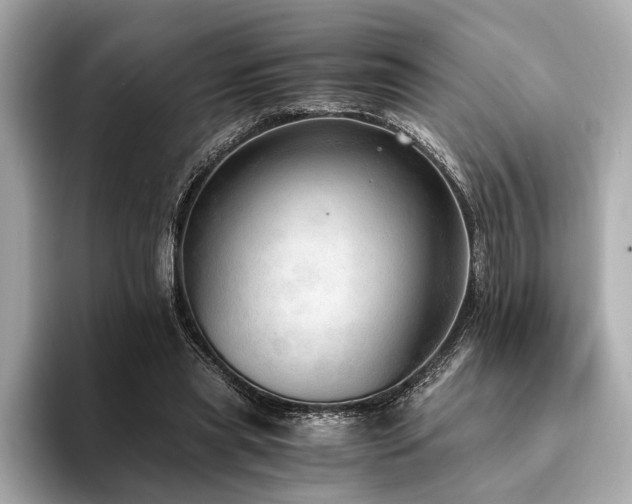 X0000094320445200711021354