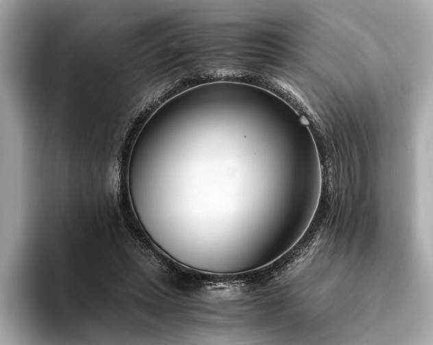 X0000094320447200711021354