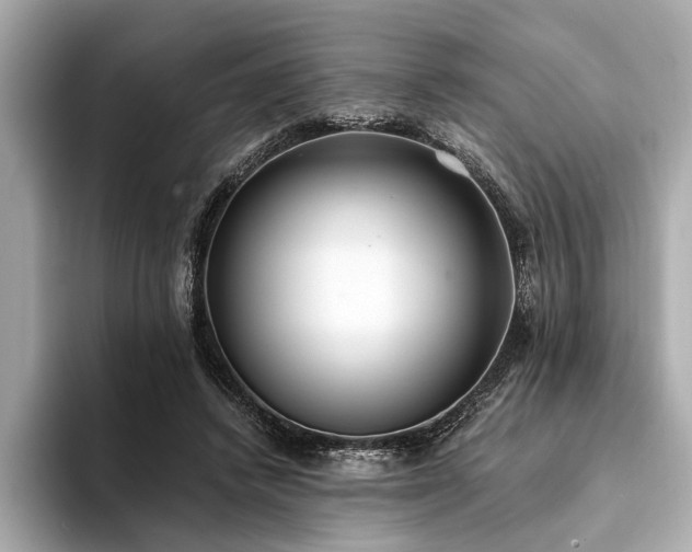 X0000094320448200711021354