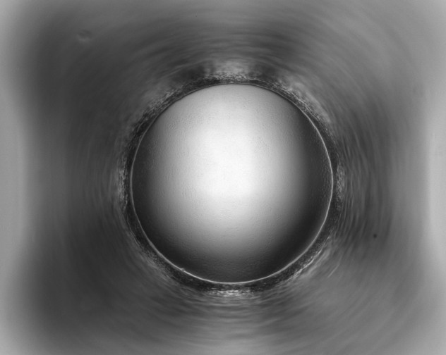 X0000094320449200711021354