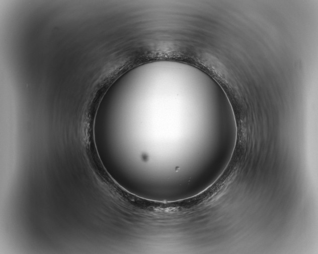 X0000094320450200711021354