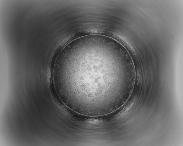X0000094320453200711021355
