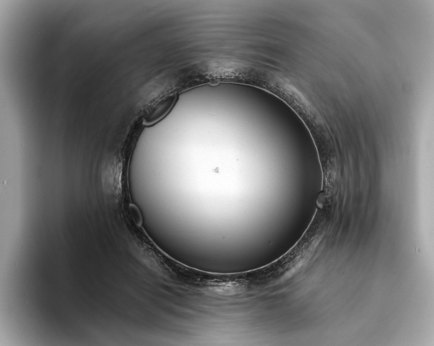 X0000094320454200711021355