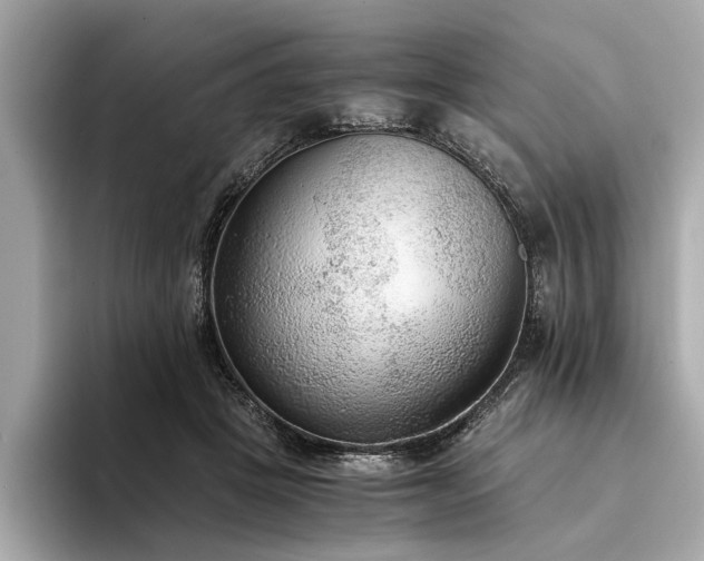 X0000094320457200711021355