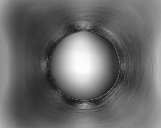 X0000094320460200711021355
