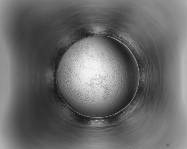 X0000094320461200711021355