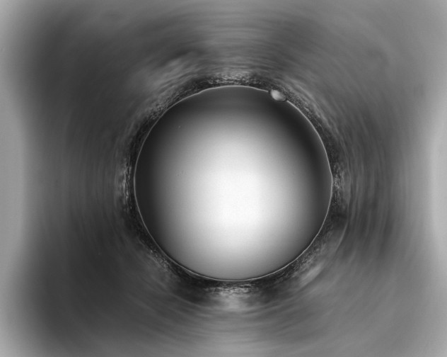 X0000094320462200711021355