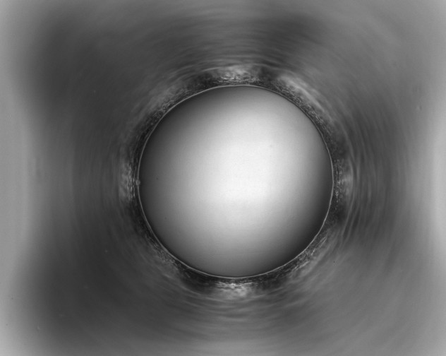 X0000094320469200711021355